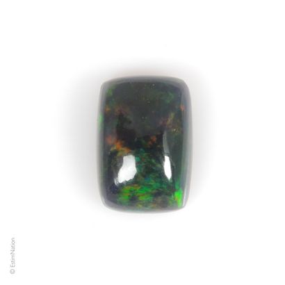 OPALE 1.59 CARAT Opale dite "arlequin" ou "black opal" en cabochon rectangulaire...