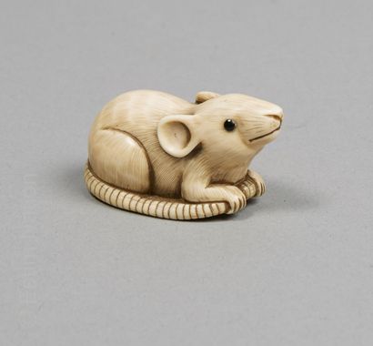 JAPON Netsuke en ivoire gravé et sculpté figurant une souris tenant sa queue entre...