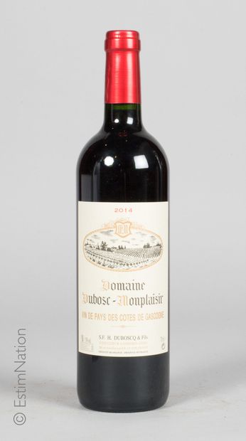 SUD-OUEST 9 bouteilles Côtes de Gascogne 2014 Domaine Duboscq-Monplaisir



Livraison...