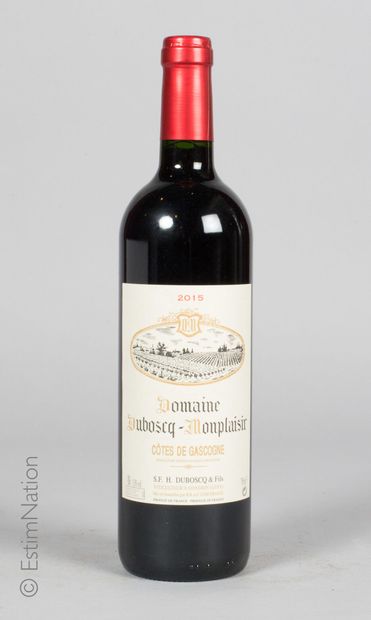 SUD-OUEST 12 bouteilles Côtes de Gascogne 2015 Domaine Duboscq-Monplaisir



Livraison...