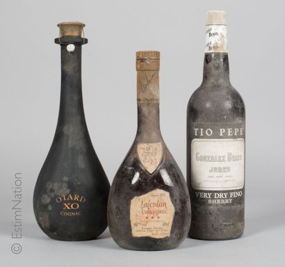 Cognac 3 bouteilles : 1 Cognac XO Otard, 1 Sherry Tio Pepe Gonzalez Byass Jerez,...