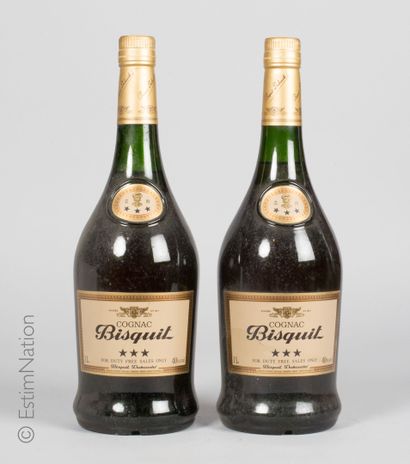 Cognac 2 bouteilles Cognac Bisquit (3 étoiles) 

(40% vol. / 1L) (e. fn, lm)