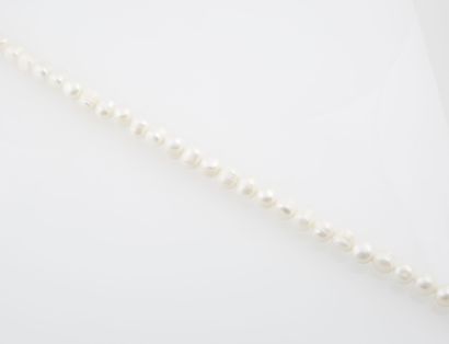 Fil de perles Fil de 33 perles d'eau douce. Non enfilé. 

Diamètre perle : de 13...