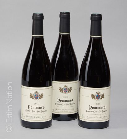 BOURGOGNE 3 bouteilles Pommard 2015 1er Cru les Rugiens Henri Guénard 



Livraison...
