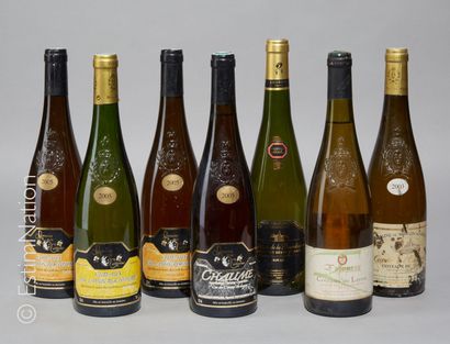 DIVERS 7 bouteilles : 5 Coteaux du Layon de 2003 à 2005, 1 Muscadet 2012, 1 Chaume...