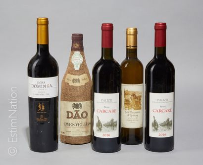 DIVERS 5 bouteilles : 2 Italie 2016 Palizzi Carcare, 1 Vin de France Les Terrasses...