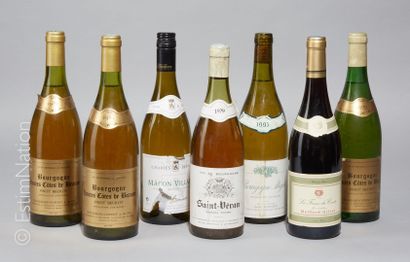 BOURGOGNE 7 bouteilles Bourgogne Panaché de 1979 à 2008 



Livraison optionnelle...