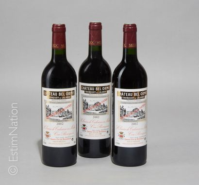 BORDEAUX 3 bouteilles Château Bel Orme 2002 Haut-Médoc 

(E. f) 



Livraison optionnelle...