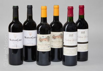 BORDEAUX 6 bouteilles : 2 Mouton Cadet 2005 et 2008 Bordeaux, 2 Château Peynaud-Bagnac...