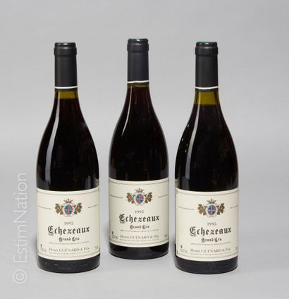 BOURGOGNE 3 bouteilles Echezeaux 1995 Grand Cru Henri Guenard 



Livraison optionnelle...