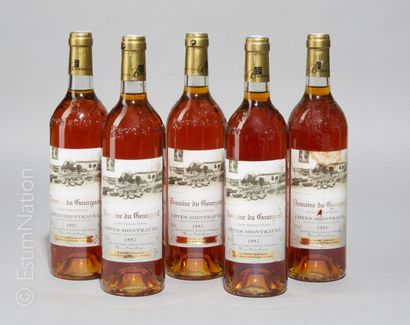 LIQUOREUX 5 bouteilles Domaine du Bourgueil 1997 Côtes Montravel 



Livraison optionnelle...