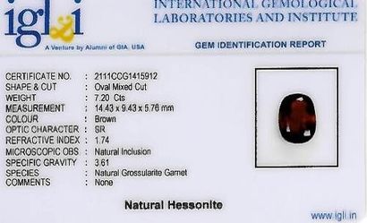 UN GRENAT HESSONITE SUR PAPIER ET EXAMEN A faceted oval hessonite garnet on paper....