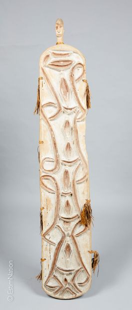 IRIAN JAYA - ASMAT IRIAN JAYA - ASMAT 



Bouclier en bois sculpté et pigments naturels...