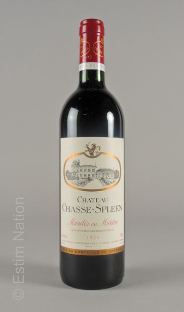 BORDEAUX 1 bouteille Château Chasse-Spleen 1995 Moulis en Médoc
