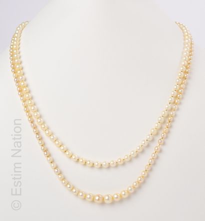 COLLIER PERLES DE CULTURE Collier de deux rangs de perles de culture blanches en...