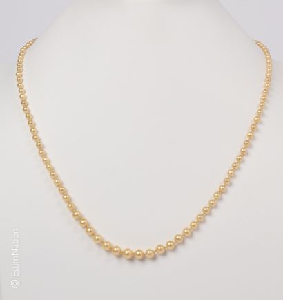 COLLIER PERLES FANTAISIE Necklace featuring a strand of imitation pearls. It features...