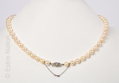 COLLIER PERLES DE CULTURE Collier composé d'un rang de perles de culture blanches...