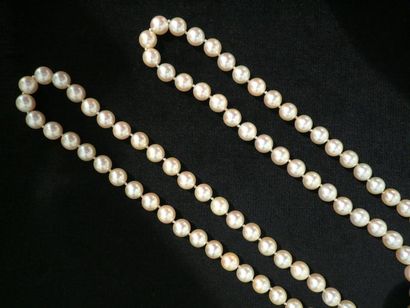 null Collier de 85 perles de culture le fermoir en or jaune. Long: 79 cm