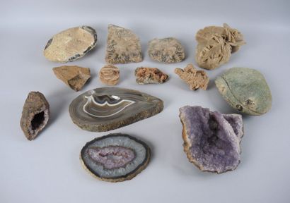 PALEONTOLOGIE (sur le thème de) Lot de pierres et fossiles divers

