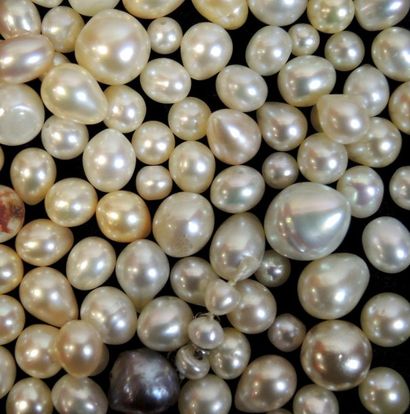 LOT DE PERLES Lot de perles de forme irrégulière ou baroque réunies en sachets.

Poids...