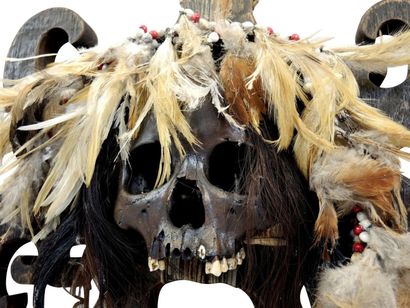BORNEO* Trophée DAYAK composé d'un crâne, bois et plumes.
Borneo.
Ht: 41; Larg: 38...