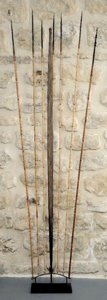 PAPOUASIE Arc et ses flèches. Présenté sur un socle en métal 

Papouasie 

Ht: 206...