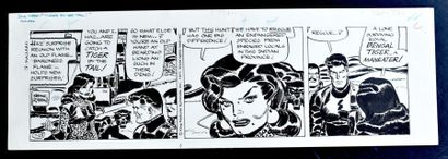 ROBBINS, Frank (1917-1994) ROBBINS, Frank (1917-1994)


US Comics - Strip original...