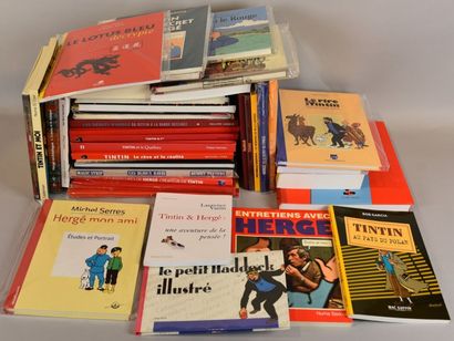 OUVRAGES TINTIN Lot d'ouvrages sur l'œuvre d'Hergé et sur Tintin (études et bibliographies)


Ensemble...