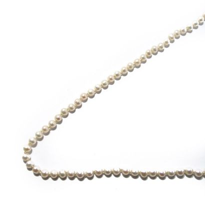 COLLIER OR ET PERLES COLLIER composé d'un rang de perles de culture d'environ 5.2...
