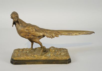 Auguste-Nicolas CAIN (1821-1894) "Faisan"

Bronze à patine dorée

Signé sur le terrasse

Haut....