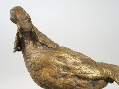 Auguste-Nicolas CAIN (1821-1894) "Faisan"

Bronze à patine dorée

Signé sur le terrasse

Haut....