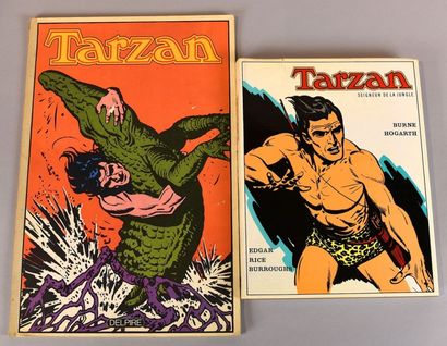 TARZAN TARZAN TARZAN Ensemble de deux ouvrages bien illustrés sur le 1er héros de...