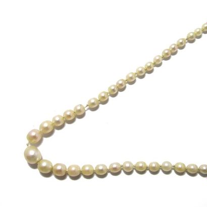 COLLIER COLLIER composé d'un rang de perles de culture en chute d'environ 2.5 à 6.8...