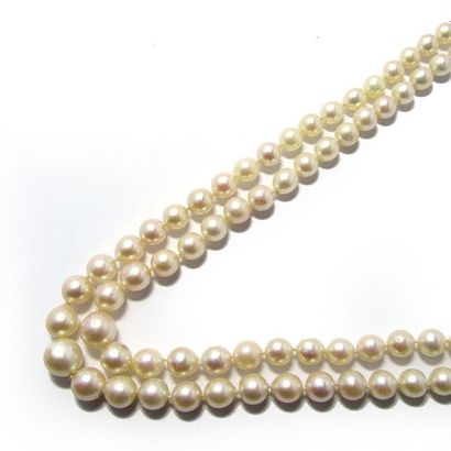 COLLIER COLLIER composé de 2 rangs de perles de culture en chute d'environ 5 à 8.9...