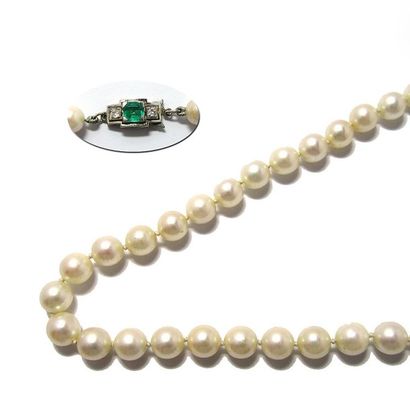 COLLIER COLLIER composé d'un rang de perles de culture d'environ 7 mm; fermoir à...