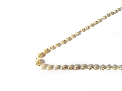 Collier de perles COLLIER composé d'un rang de perles de culture en chute d'environ...