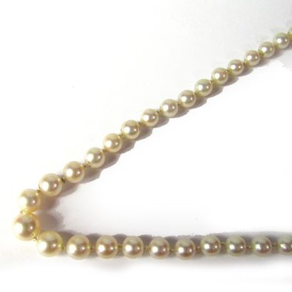 Collier de perles COLLIER composé d'un rang de perles de culture d'environ 4.2 à...