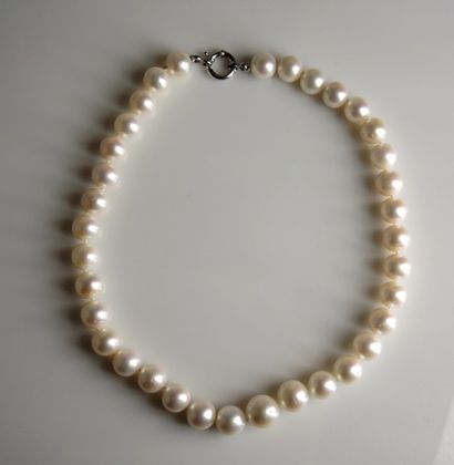 Collier de perles Collier de perles de culture. Fermoir mousqueton en argent 925/°°....