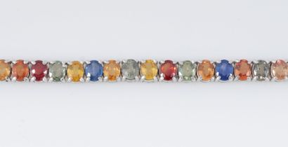 BRACELETS SAPHIRS Bracelet ligne en argent 925/°° composé de saphirs multicolores...