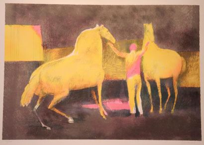 Paul GUIRAMAND (1926-2007) TITRE : Circus jaune


TECHNIQUE : Lithographie en couleurs...