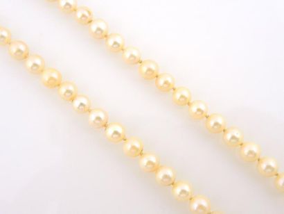 COLLIER PERLES Collier de perles de culture. Fermoir à cliquet en or jaune 18K 750/°°,...