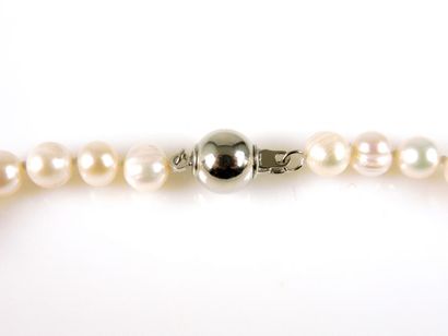 COLLIER PERLES Collier composé de perles d'eau douce . Fermoir de forme boule en...
