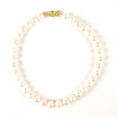 COLLIER PERLES Collier composé de perles d'eau douce (diam: 12/13mm). Fermoir mousqueton...