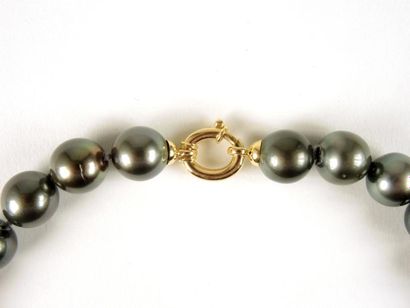 COLLIER PERLES TAHITI Collier composé de 32 perles de Tahiti (diam: 12,5/15mm, qualité...