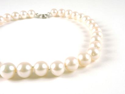 COLLIER PERLES Collier composé de perles d'eau douce (diam: 12mm env.). Fermoir anneau...