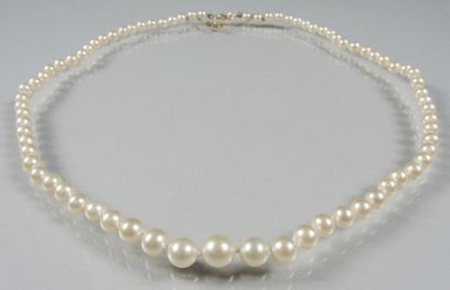 DEUX COLLIERS DE PERLES FANTAISIES Deux colliers de perles fantaisies dites de ''Majorque''....