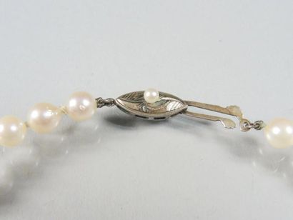 COLLIER PERLES Collier composé de perles de culture (diam: 6 à 6,5mm). Fermoir poisson...