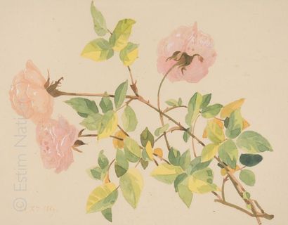 Ecole 19ème siècle "Roses"

Paire d'aquarelles et rehauts de gouache sur papier,...