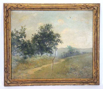 Georges René VILLAIN (1854-1930) "Paysage de campagne, chemin et arbres"


Huile...