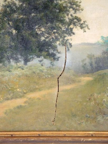 Georges René VILLAIN (1854-1930) "Paysage de campagne, chemin et arbres"


Huile...
